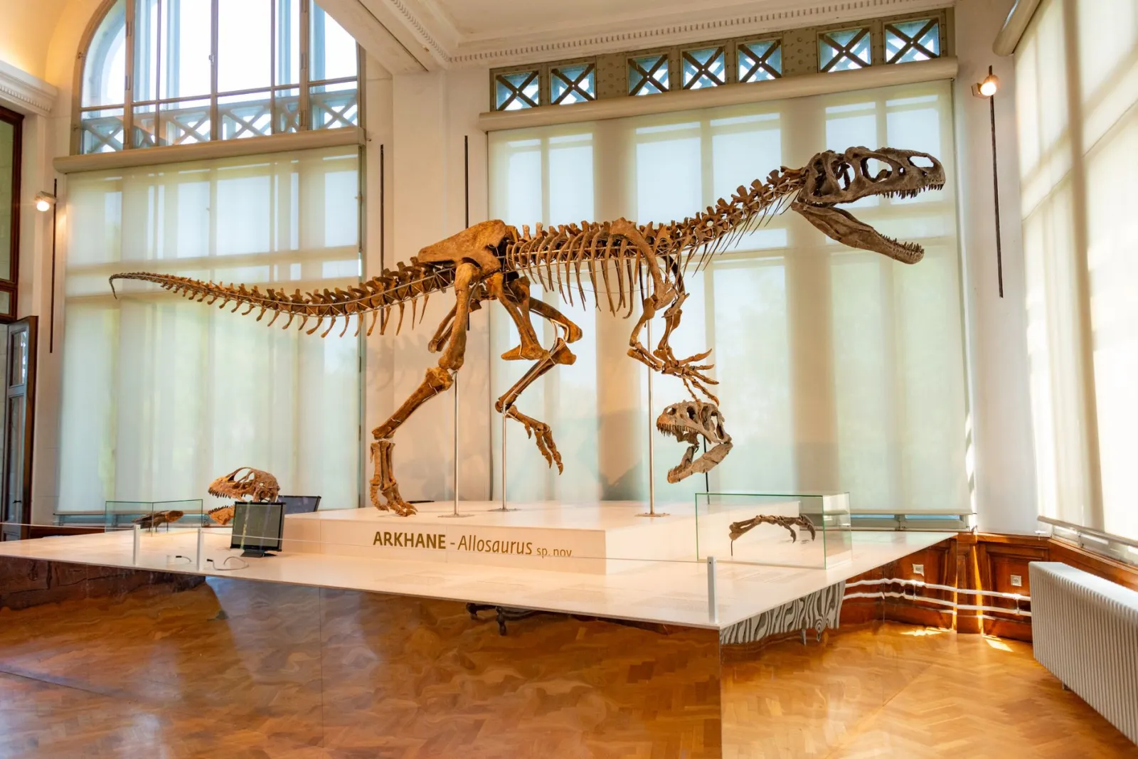 Duży szkielet dinozaura w sali muzealnej z dzieckiem oglądającym eksponat